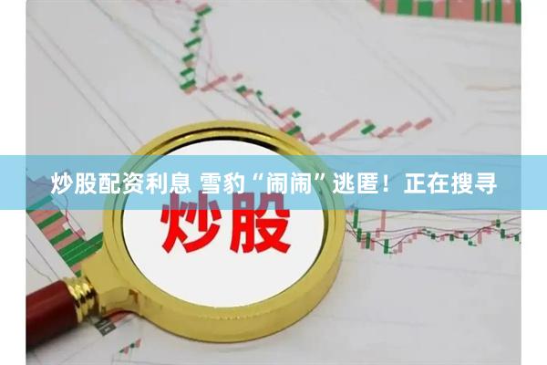 炒股配资利息 雪豹“闹闹”逃匿！正在搜寻